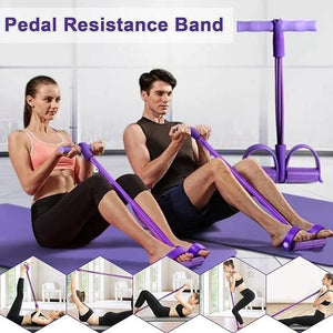 Fitness & Wellness